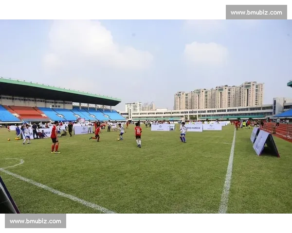 深入解析近500期体彩足球开奖记录揭示胜负走势与冷门规律